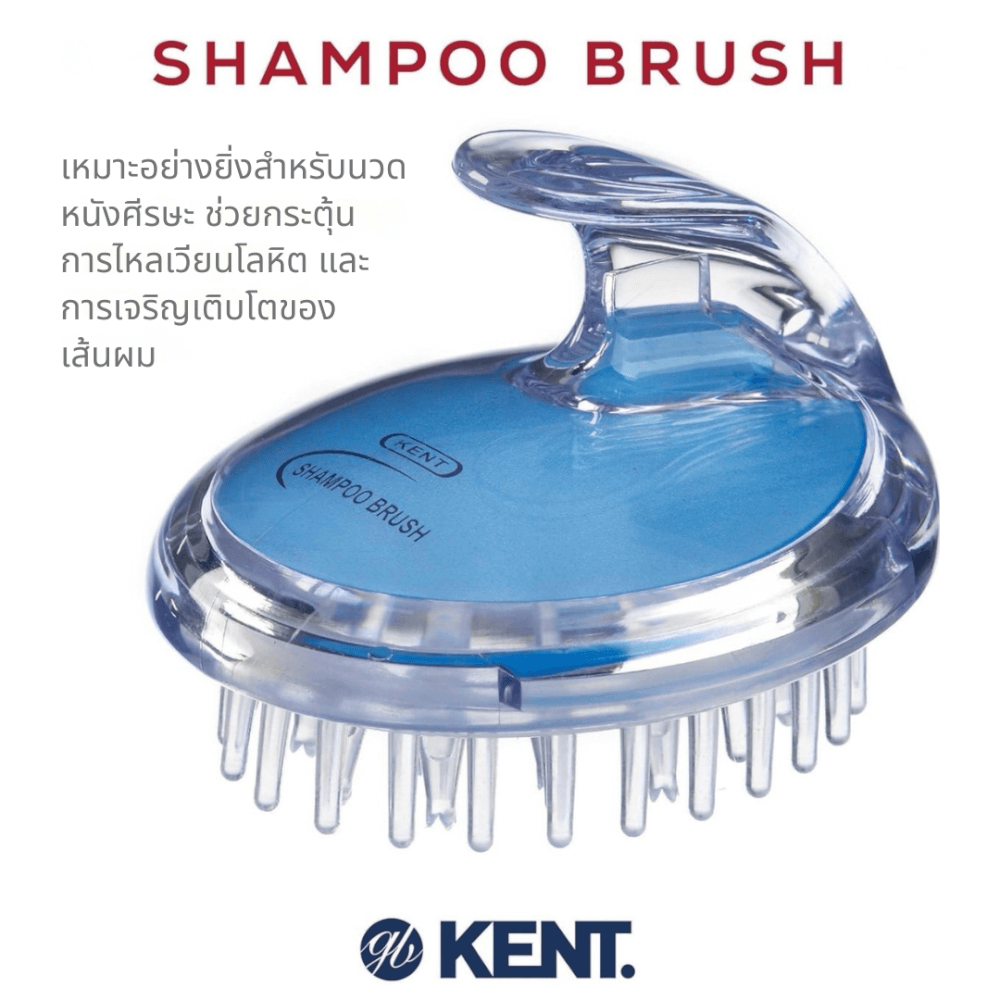 แปรงสระผม KENT SHAMPOO AND SCALP MASSAGE BRUSH สีฟ้า
